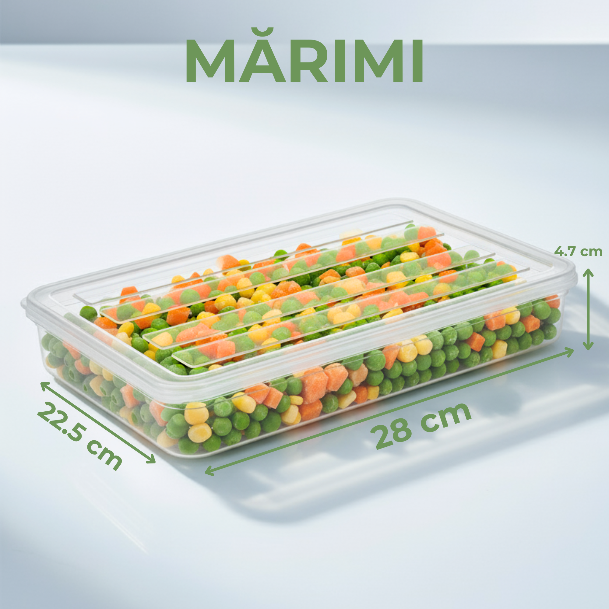 Recipient de depozitare alimente Koken, organizare frigider/congelator, etanșe, cutie cu capac, plastic fără BPA, rezistent la rece, 2.4 L, Transparent/Gri - 1 | YEO