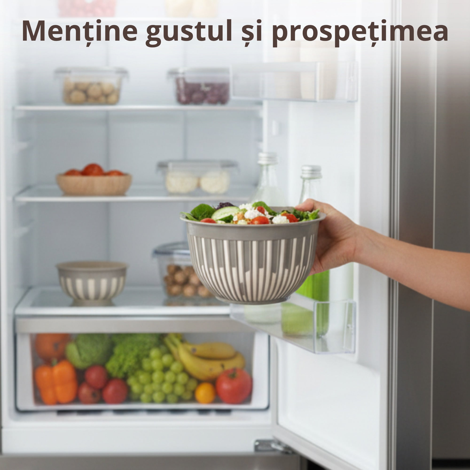 Set 4 boluri din plastic durabil Koken pentru salate, fructe si mancare gatita,0.45 /1.6 /3.6 /5.6 L, fara BPA - 3 | YEO